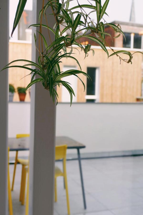 130Sqm Appartment With 20Sqm Terras And Free Parking Antwerpen Exteriör bild